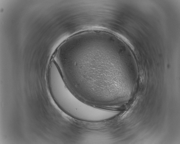 X0000068901007200605122055