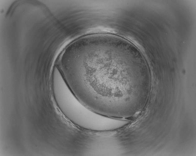 X0000068901008200605122055