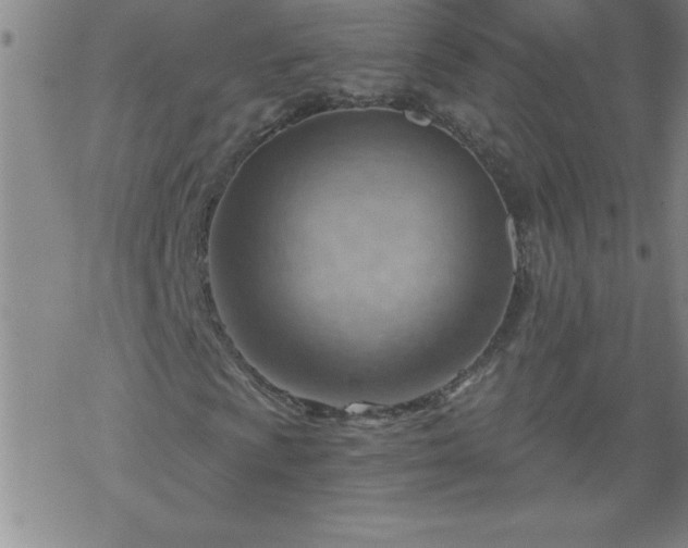 X0000068901009200605122054