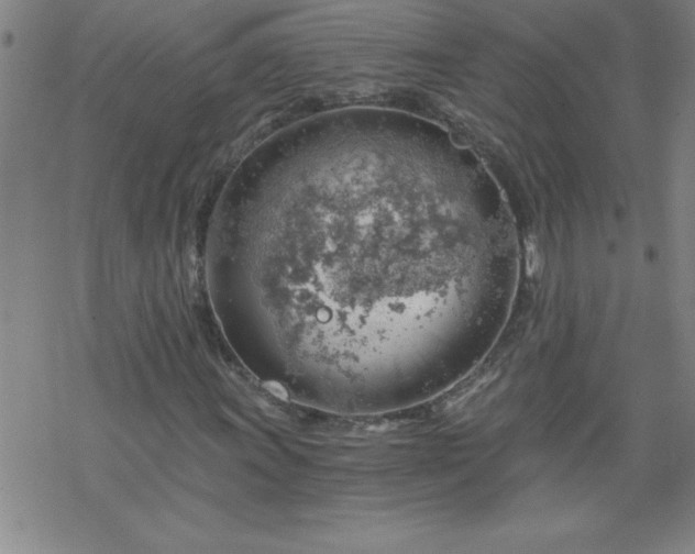 X0000068901011200605122054