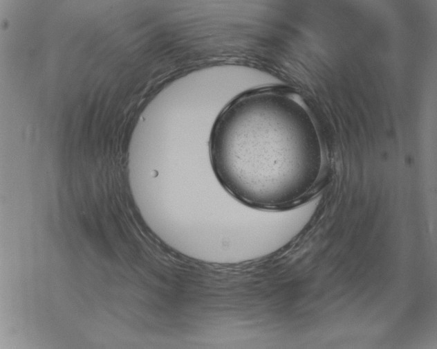 X0000068901012200605122054