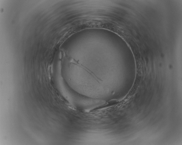 X0000068901013200605122054