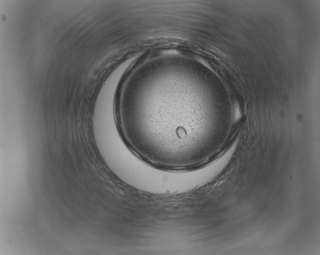 X0000068901014200605122054