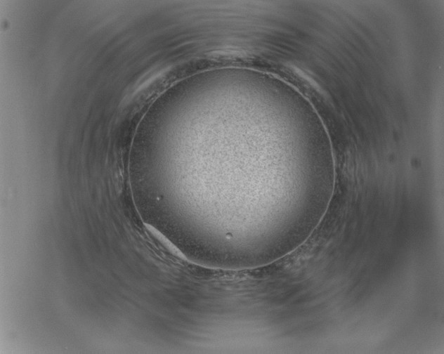 X0000068901015200605122054