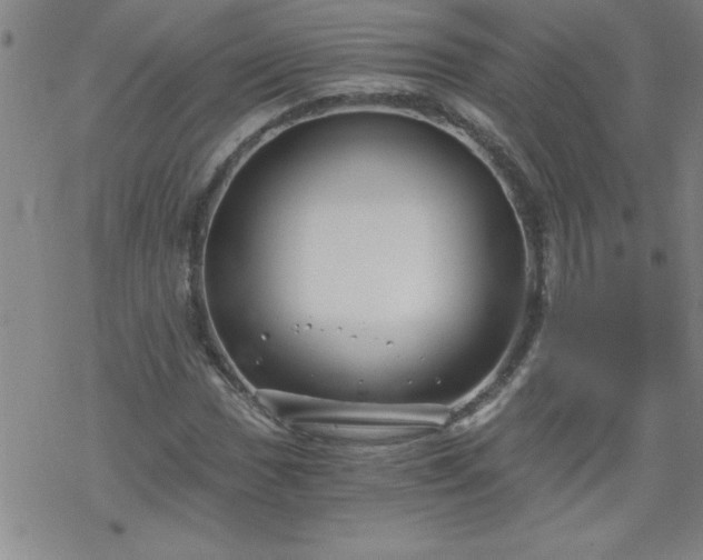 X0000068901017200605122054