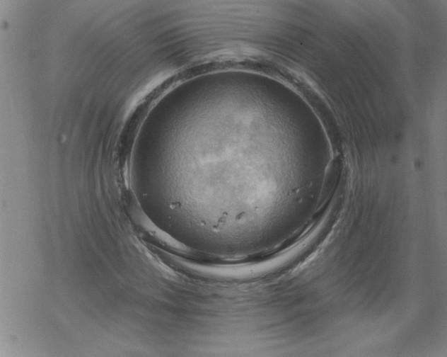 X0000068901018200605122054