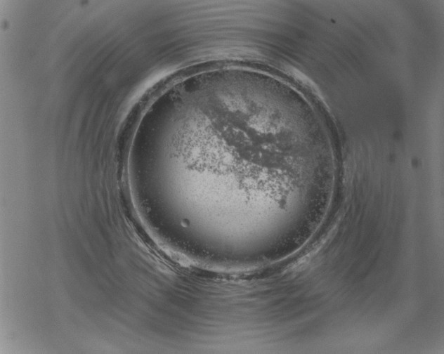 X0000068901019200605122054