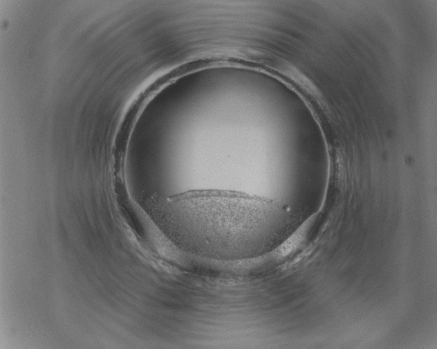 X0000068901020200605122054