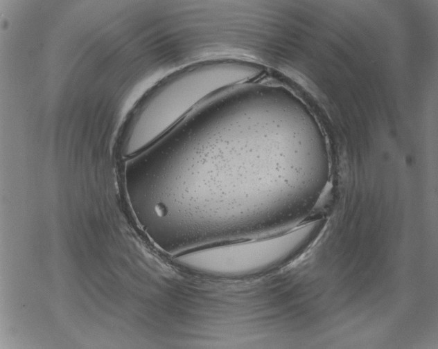 X0000068901022200605122054