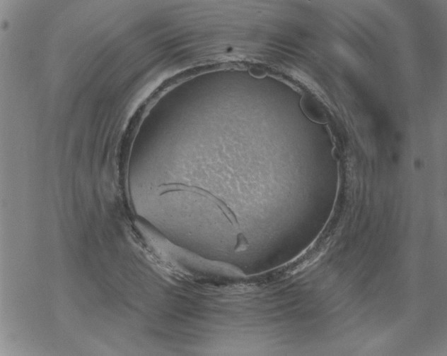 X0000068901023200605122054