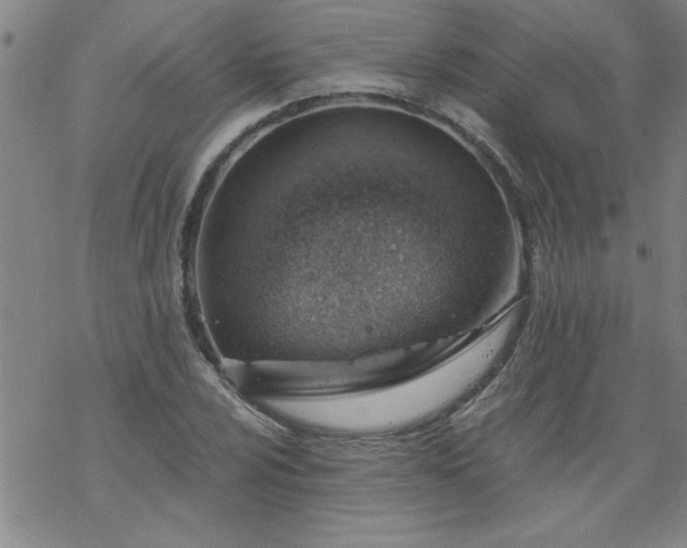 X0000068901024200605122054