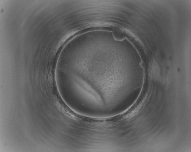 X0000068901025200605122054