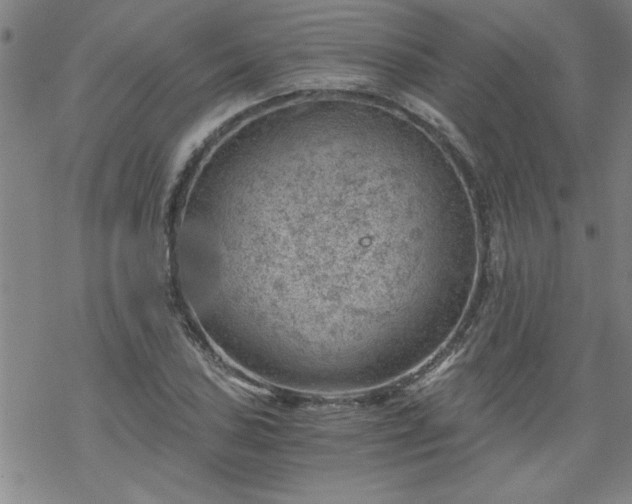 X0000068901027200605122054