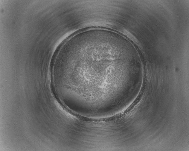 X0000068901028200605122054