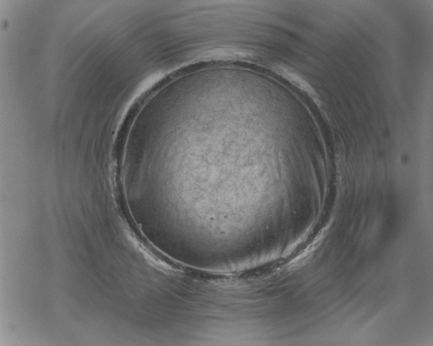 X0000068901029200605122054