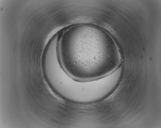 X0000068901030200605122054