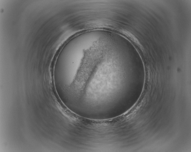 X0000068901031200605122054