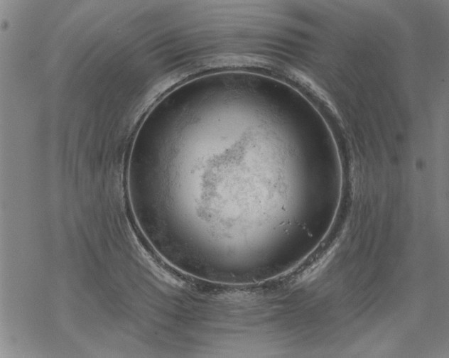 X0000068901033200605122055