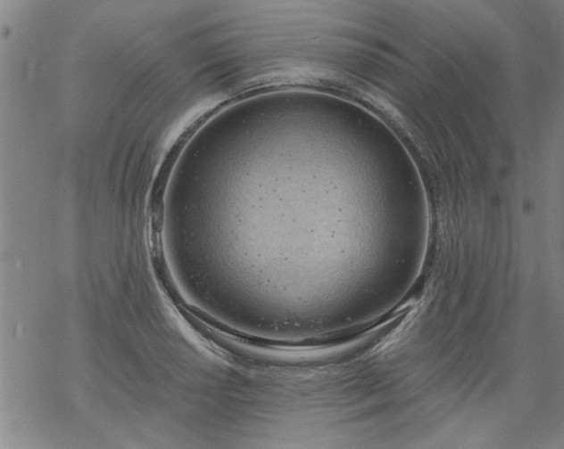 X0000068901034200605122055