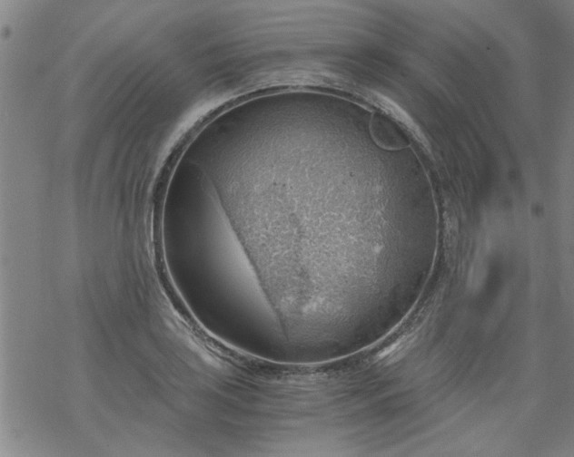 X0000068901035200605122055