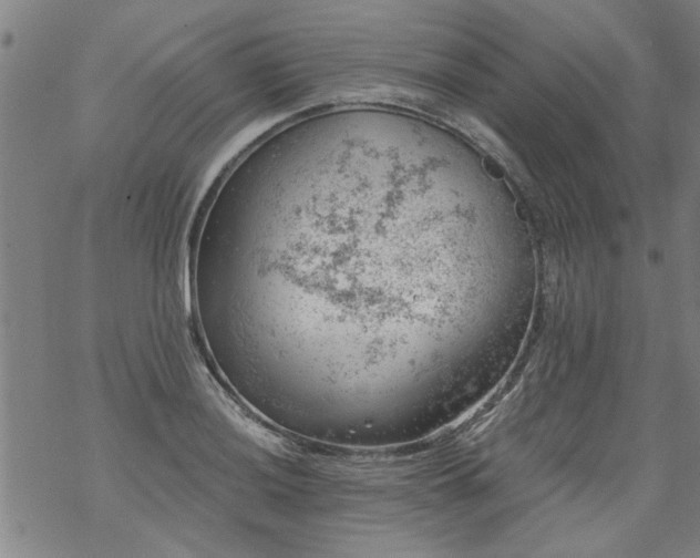 X0000068901036200605122055