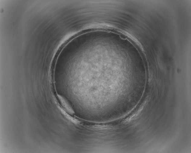 X0000068901037200605122055