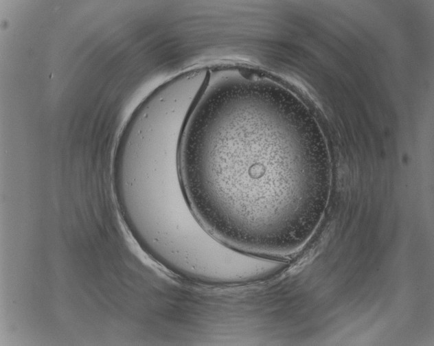 X0000068901038200605122055