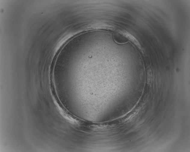 X0000068901039200605122055