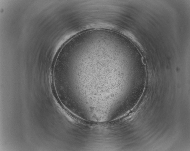 X0000068901040200605122055