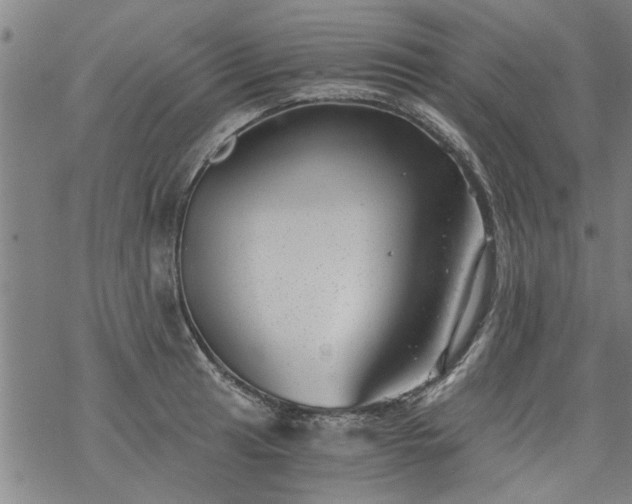 X0000068901041200605122055