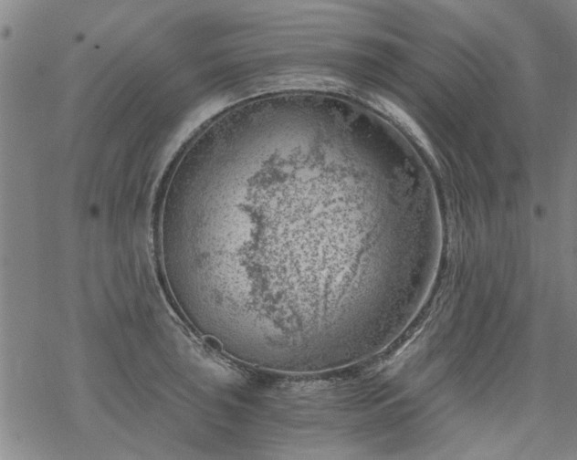 X0000068901043200605122055