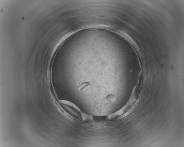 X0000068901044200605122055