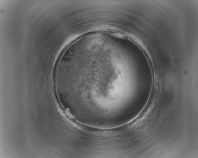 X0000068901045200605122055