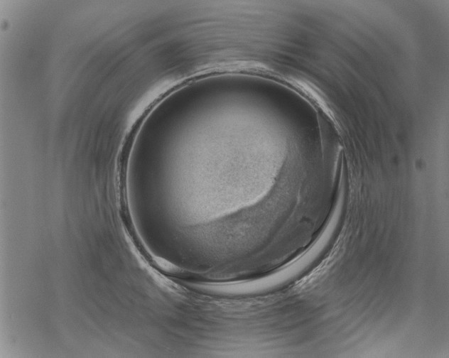 X0000068901046200605122055