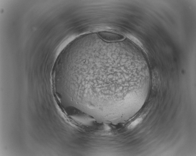 X0000068901047200605122055