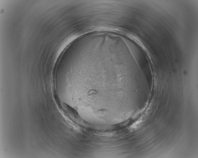 X0000068901048200605122055