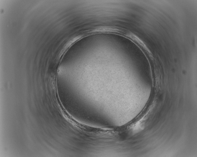 X0000068901049200605122055