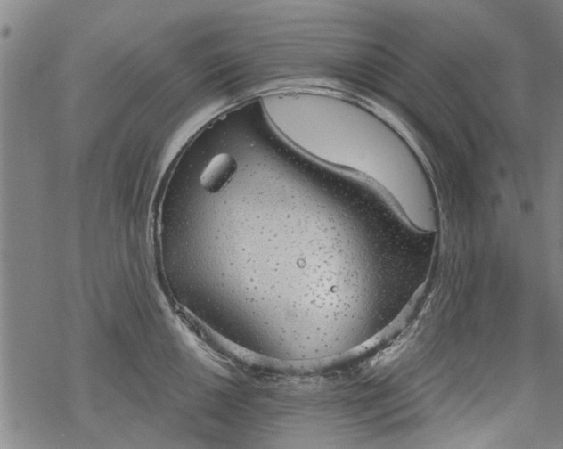 X0000068901050200605122055