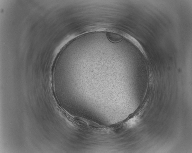 X0000068901051200605122055