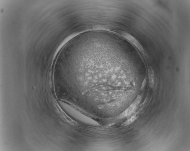 X0000068901052200605122055