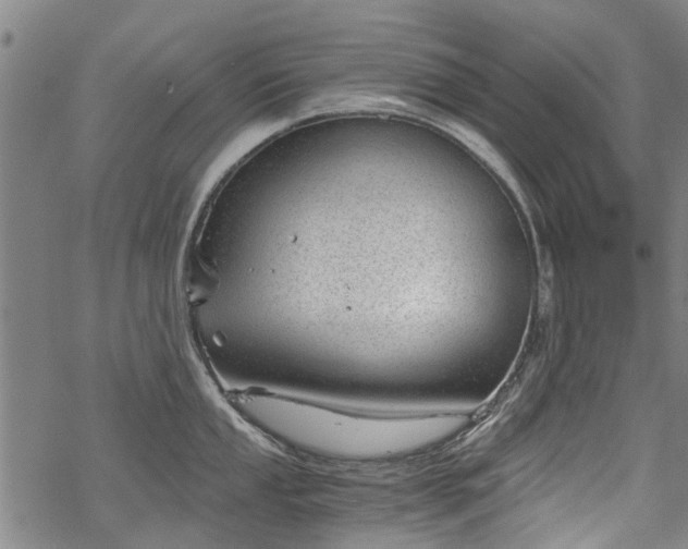 X0000068901053200605122055