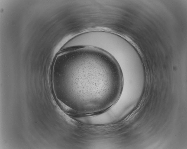 X0000068901054200605122055