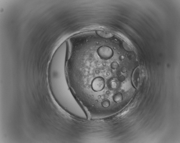 X0000068901055200605122055