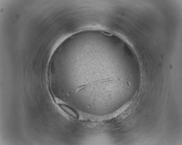 X0000068901056200605122055