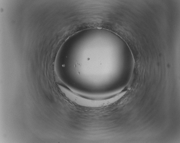 X0000068901057200605122054