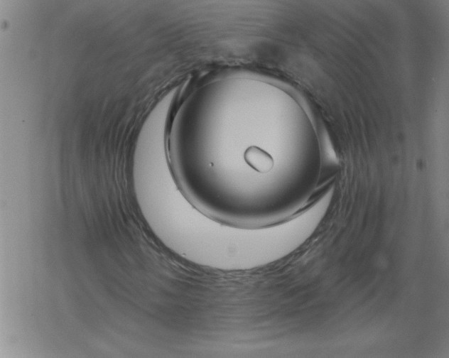 X0000068901058200605122054