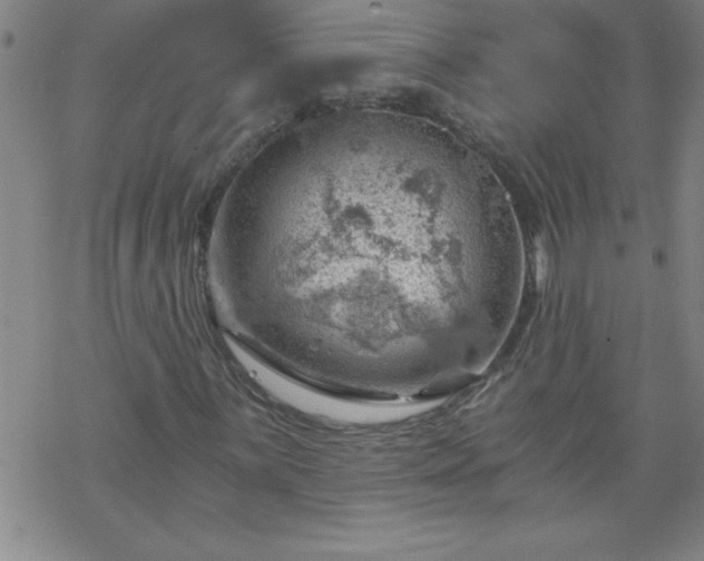 X0000068901059200605122054