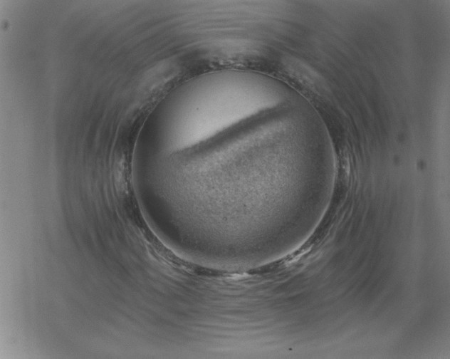 X0000068901060200605122054