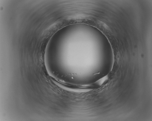 X0000068901062200605122054