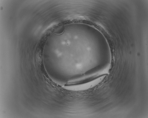 X0000068901063200605122054